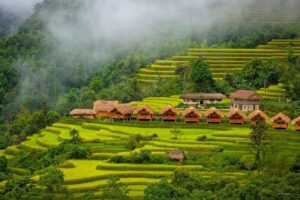 Top 5 Homestay đẹp nhất ở Phong Nha – Kẻ Bàng