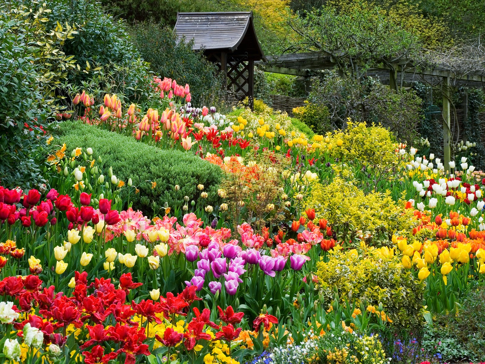 Vườn hoa Thành phố Đà Lạt: Bộ sưu tập loài hoa đẹp nhất