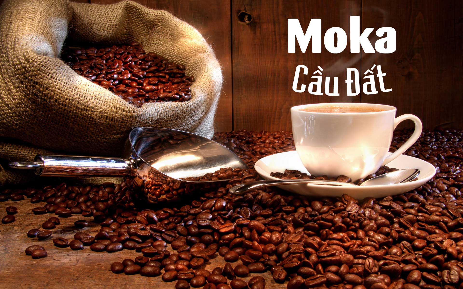 Cà phê Moka là gì? Có phải là giống cafe ngon nhất, giá cáo nhất không?