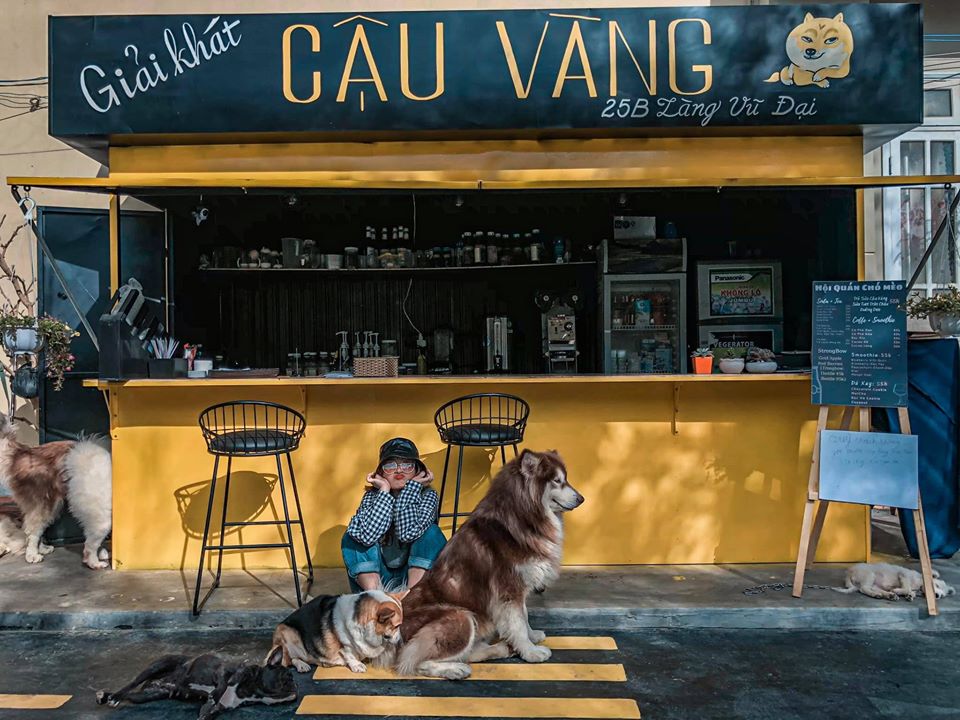 Hội Quán Chó Mèo - điểm check in không thể bỏ qua ở Đà Lạt cho hội mê thú cưng - Du Lịch Chất