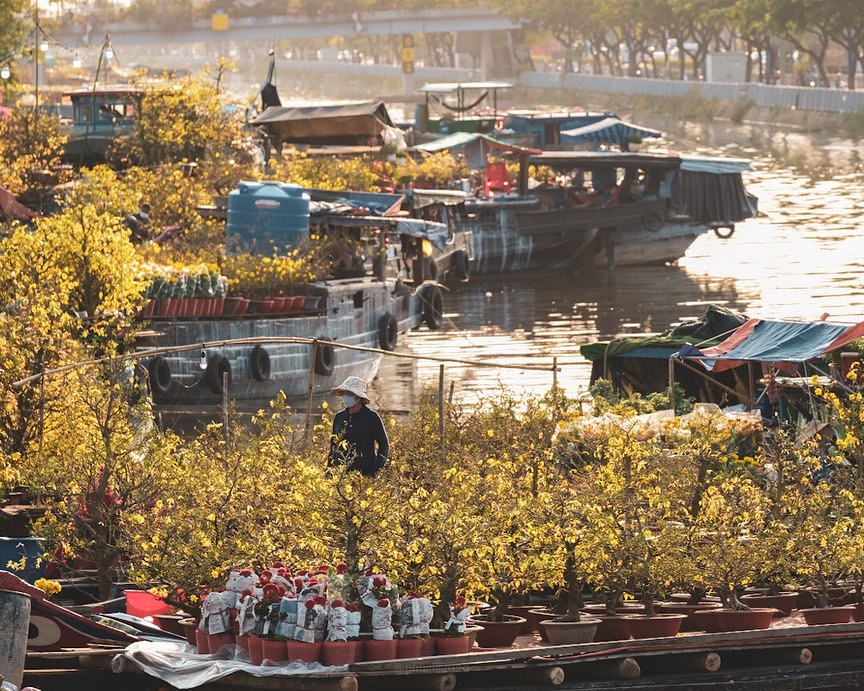 ‘Lên đồ’ check in 10 khu chợ hoa Sài Gòn đẹp nhất