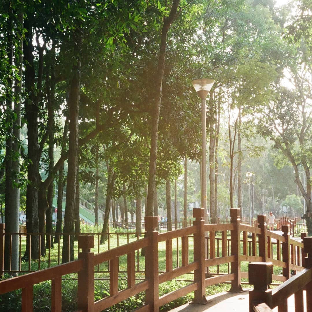 Công viên Gia Định – Lá phổi xanh của TP HCM