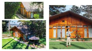 Nomini homestay – Ngôi nhà gỗ view cực xinh giữa rừng thông Đà Lạt