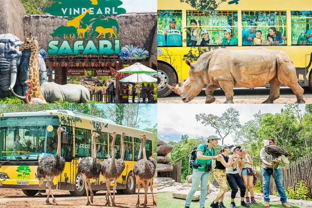 Giá vé Safari Phú Quốc 2023 MỚI NHẤT và cách đặt mua vé giá rẻ