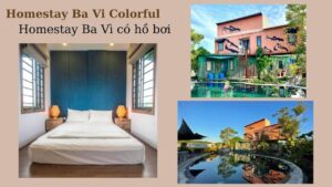 Top 20 Homestay Ba Vì giá rẻ view đẹp có hồ bơi thích hợp nghỉ dưỡng