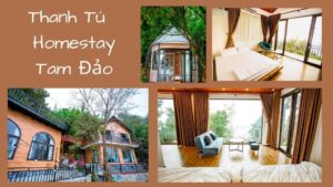 Top 30 Homestay Tam Đảo giá rẻ view đẹp để ngắm mây núi