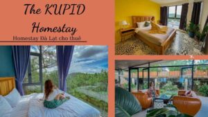 Top 40 Homestay Đà Lạt giá rẻ view đẹp gần chợ đêm nguyên căn