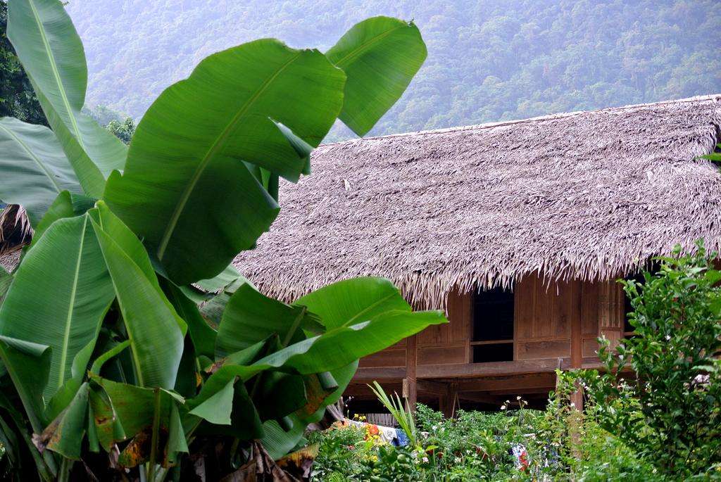 Bản Hiêu Garden Lodge Homestay phong cách nhà sàn 100% ở Pù Luông