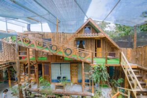 Gỗ Thông Homestay – Ngôi nhà gỗ giữa thành phố tình yêu