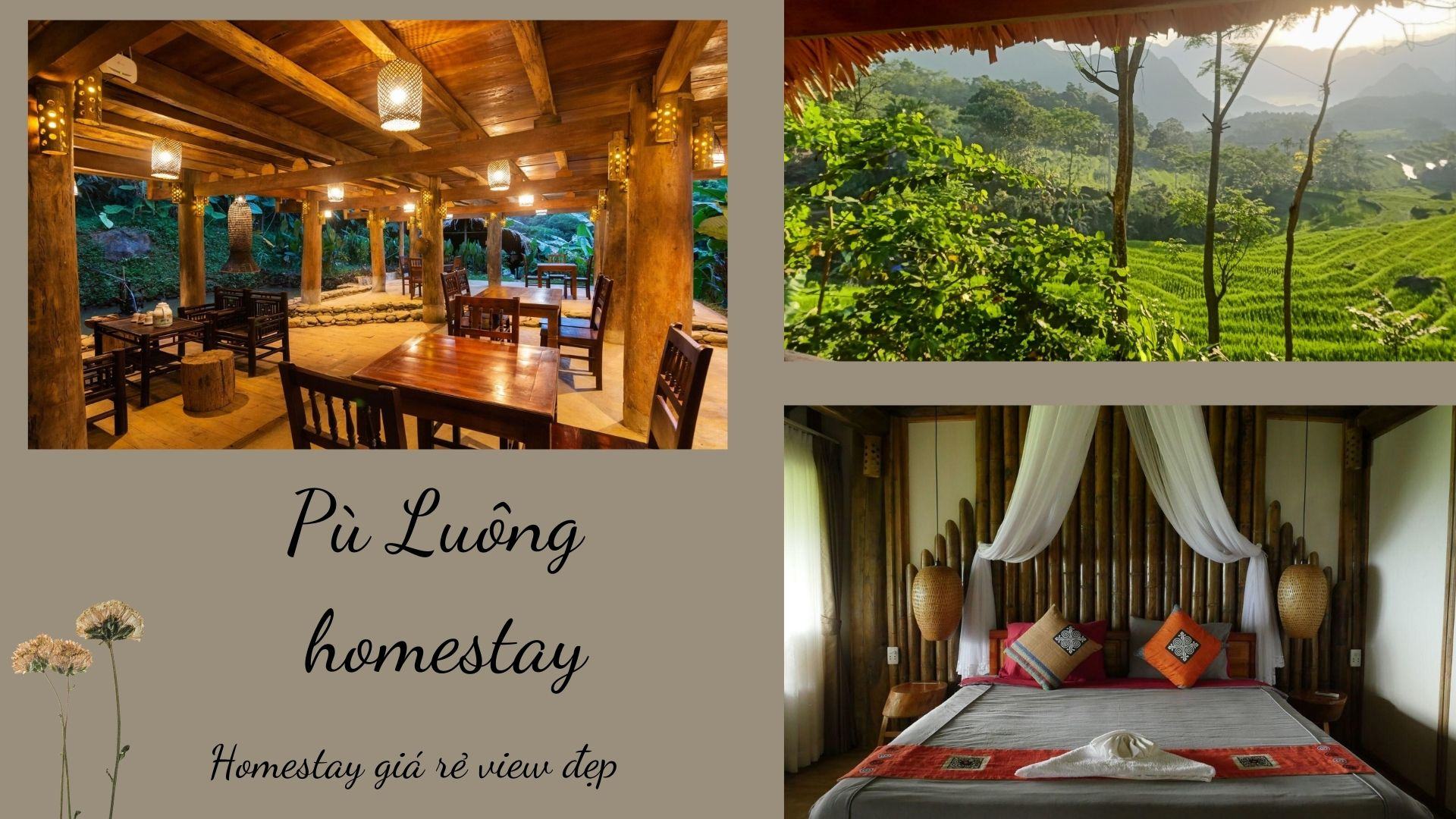 Top 19 homestay Pù Luông giá rẻ có hồ bơi view núi rừng xanh mát