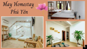 Mây Homestay – “Làn mây trắng” giữa thành phố Tuy Hoà  