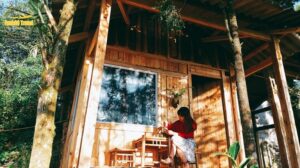 Sapa Jungle Homestay – Dừng chân giữa núi rừng Tây Bắc