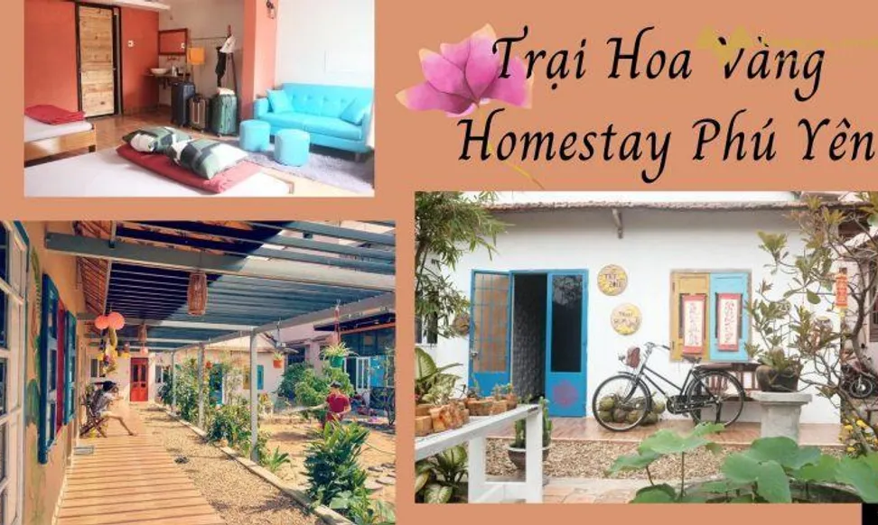 Trại Hoa Vàng Homestay Phú Yên